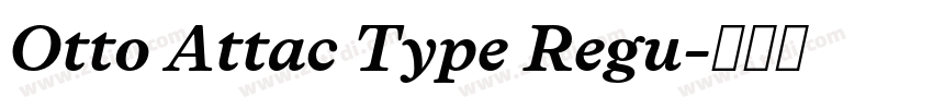 Otto Attac Type Regu字体转换